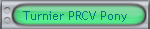 Turnier PRCV Pony